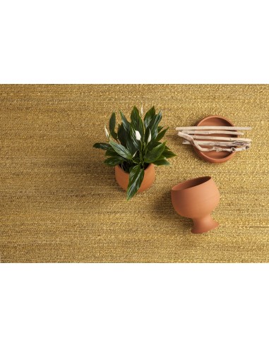 Nanimarquina Herb Rug Yellow 250x350  cm